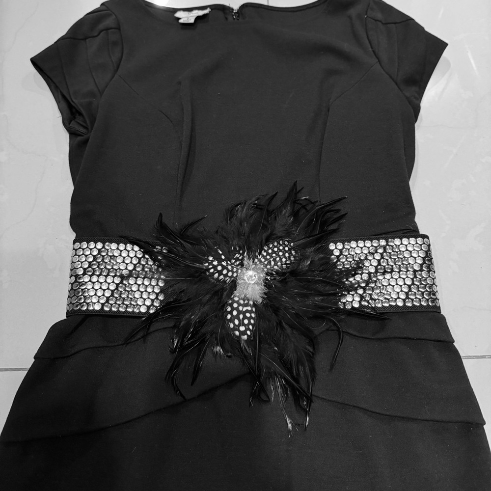 Elegant Black Dress with Removable Embellished Silver & Gold Belt Size 6
